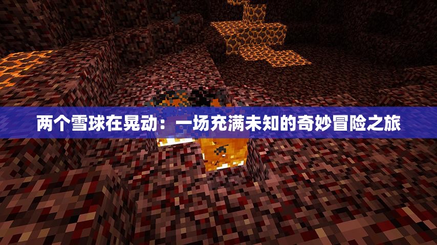 兩個(gè)雪球在晃動(dòng)：一場(chǎng)充滿未知的奇妙冒險(xiǎn)之旅