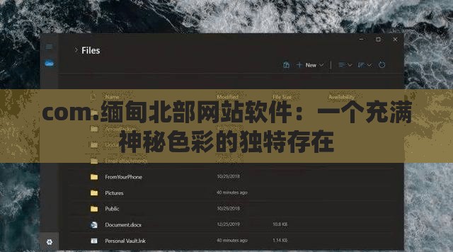 com.緬甸北部網(wǎng)站軟件：一個(gè)充滿神秘色彩的獨(dú)特存在