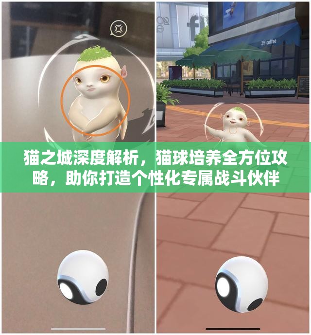 貓之城深度解析，貓球培養(yǎng)全方位攻略，助你打造個(gè)性化專屬戰(zhàn)斗伙伴