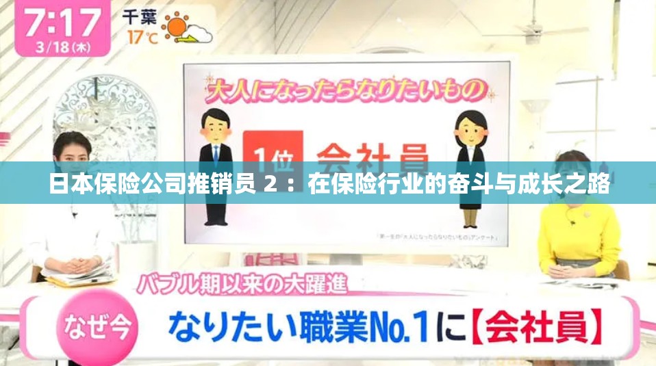 日本保險(xiǎn)公司推銷員 2 ：在保險(xiǎn)行業(yè)的奮斗與成長之路