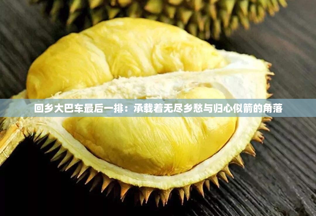 回鄉(xiāng)大巴車最后一排：承載著無盡鄉(xiāng)愁與歸心似箭的角落