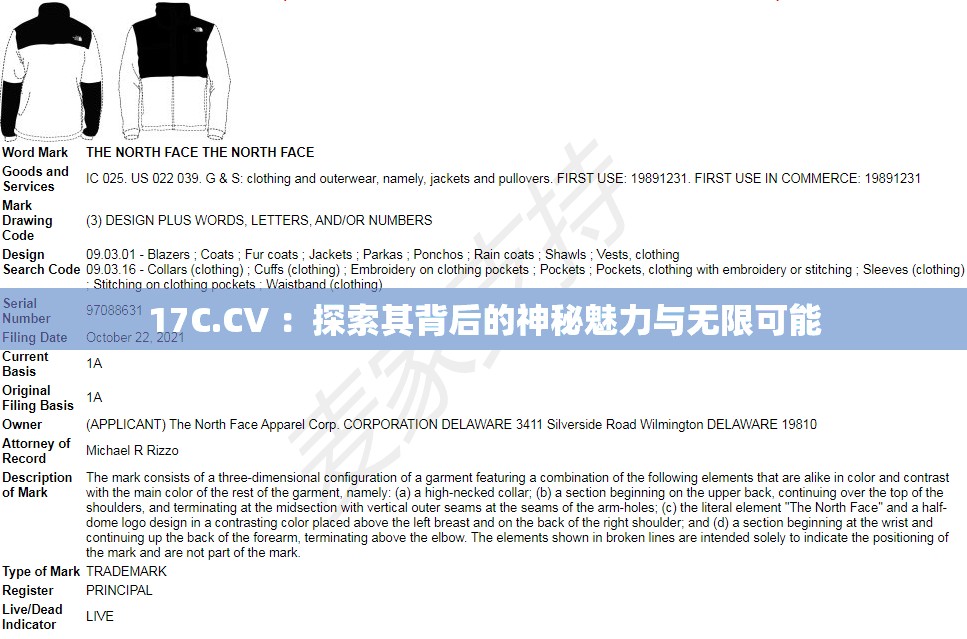 17C.CV ：探索其背后的神秘魅力與無限可能