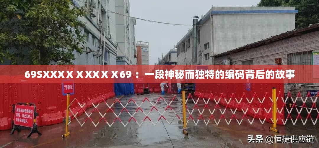69SXXXⅩⅩXXⅩⅩ69 ：一段神秘而獨特的編碼背后的故事