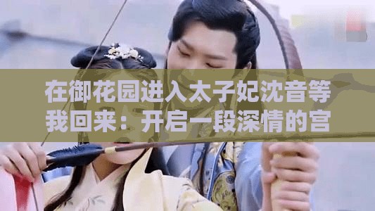 在御花園進(jìn)入太子妃沈音等我回來：開啟一段深情的宮廷之約