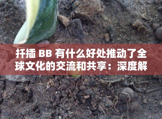 扦插 BB 有什么好處推動(dòng)了全球文化的交流和共享：深度解析其重要意義和價(jià)值