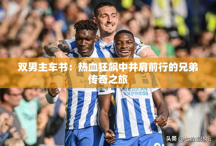 雙男主車書：熱血狂飆中并肩前行的兄弟傳奇之旅
