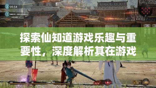 探索仙知道游戲樂趣與重要性，深度解析其在游戲資源管理中的應(yīng)用