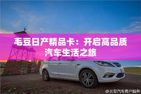 毛豆日產(chǎn)精品卡：開啟高品質(zhì)汽車生活之旅