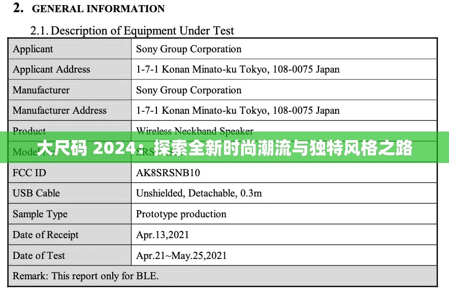 大尺碼 2024：探索全新時(shí)尚潮流與獨(dú)特風(fēng)格之路