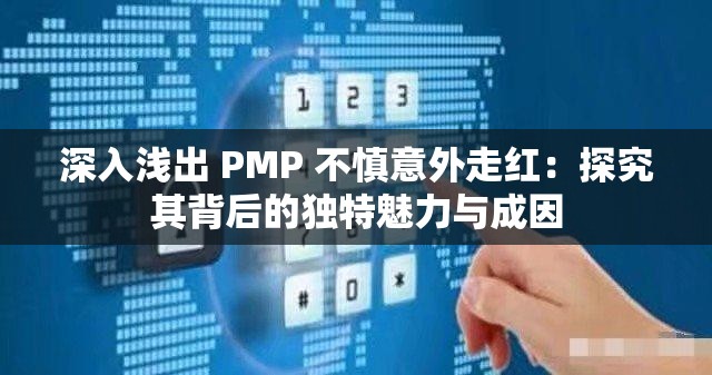 深入淺出 PMP 不慎意外走紅：探究其背后的獨(dú)特魅力與成因