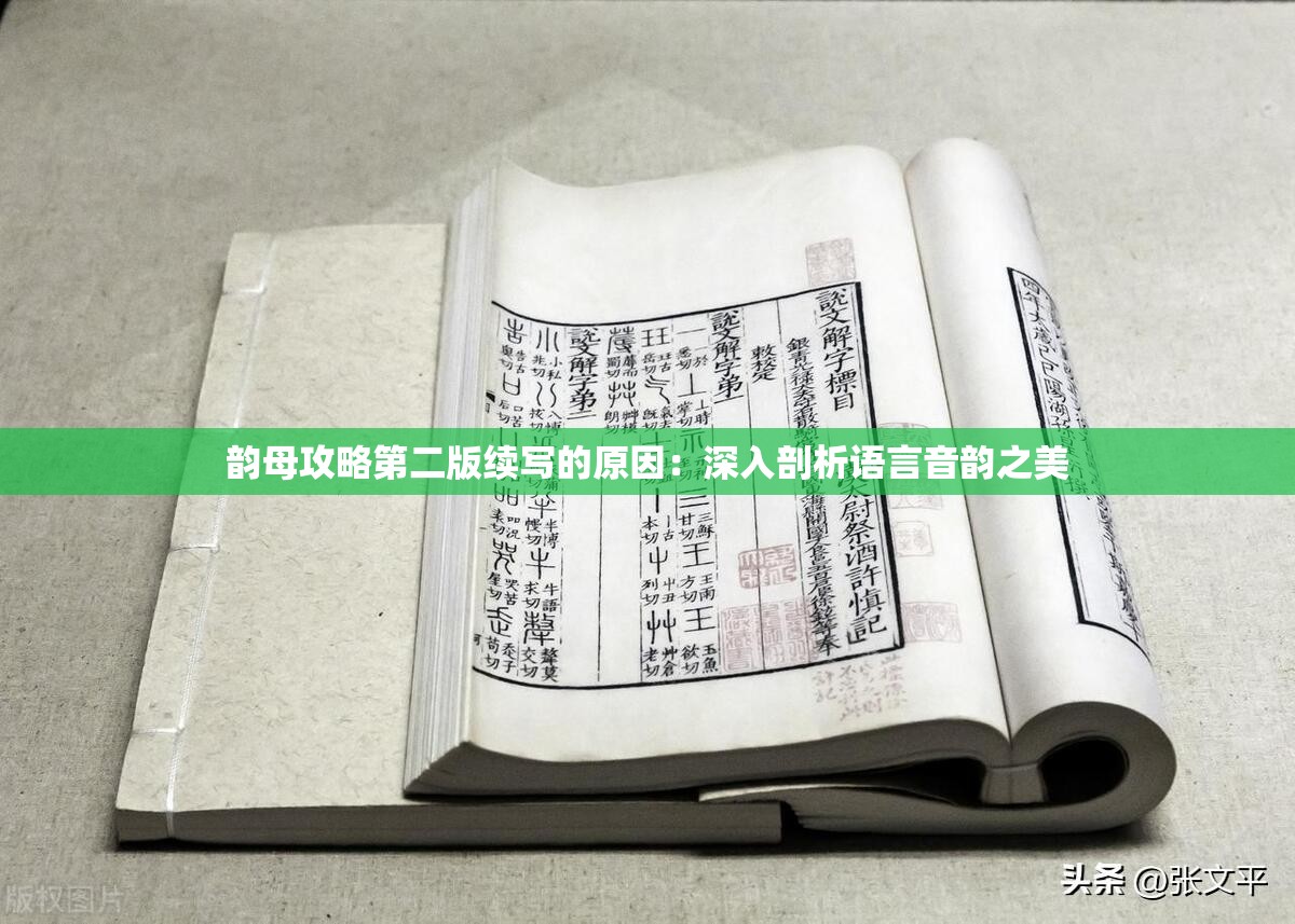 韻母攻略第二版續(xù)寫(xiě)的原因：深入剖析語(yǔ)言音韻之美