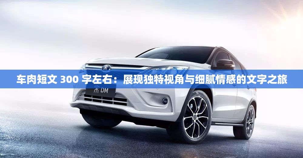 車肉短文 300 字左右：展現(xiàn)獨特視角與細(xì)膩情感的文字之旅