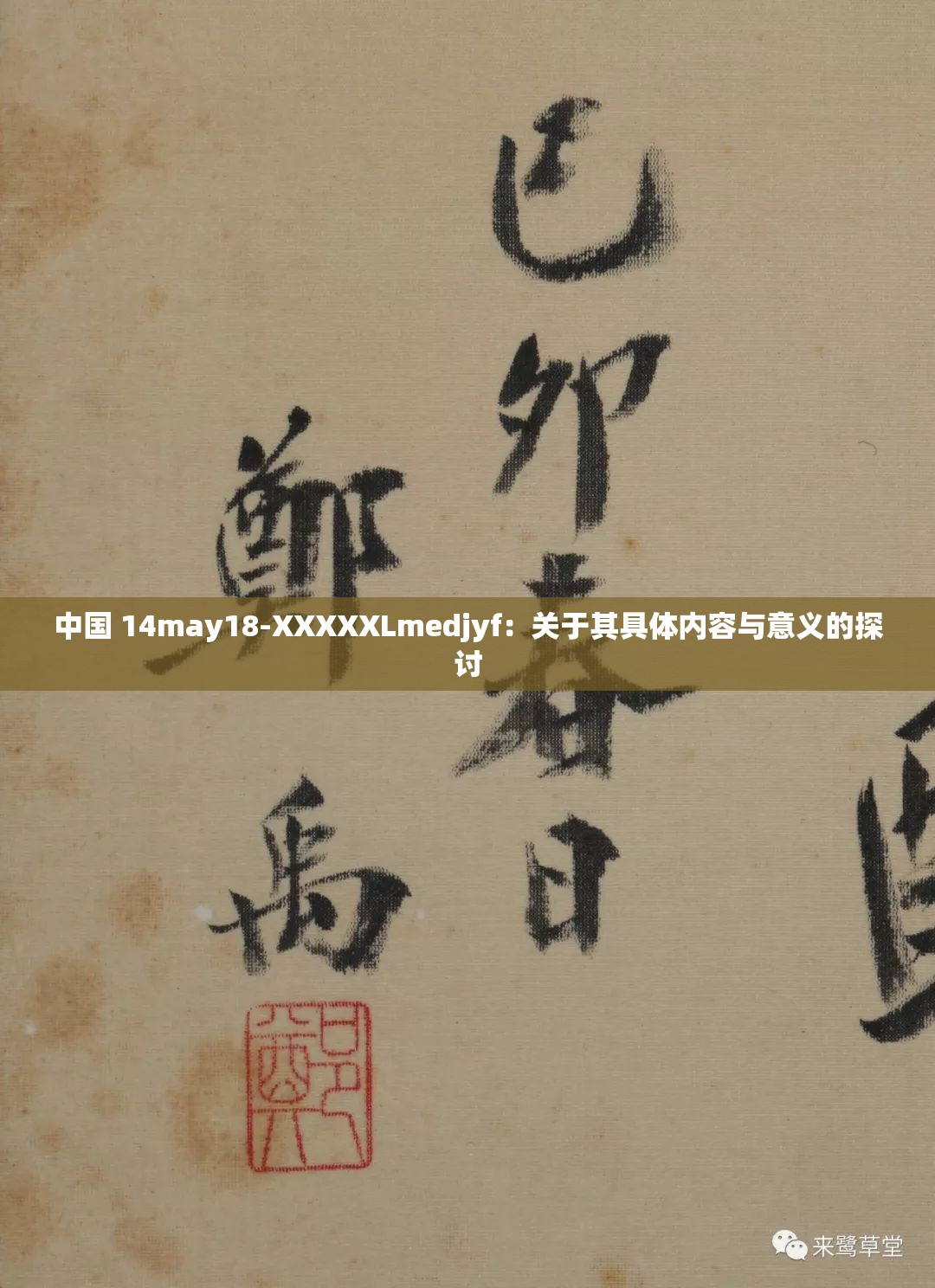 中國(guó) 14may18-XXXXXLmedjyf：關(guān)于其具體內(nèi)容與意義的探討