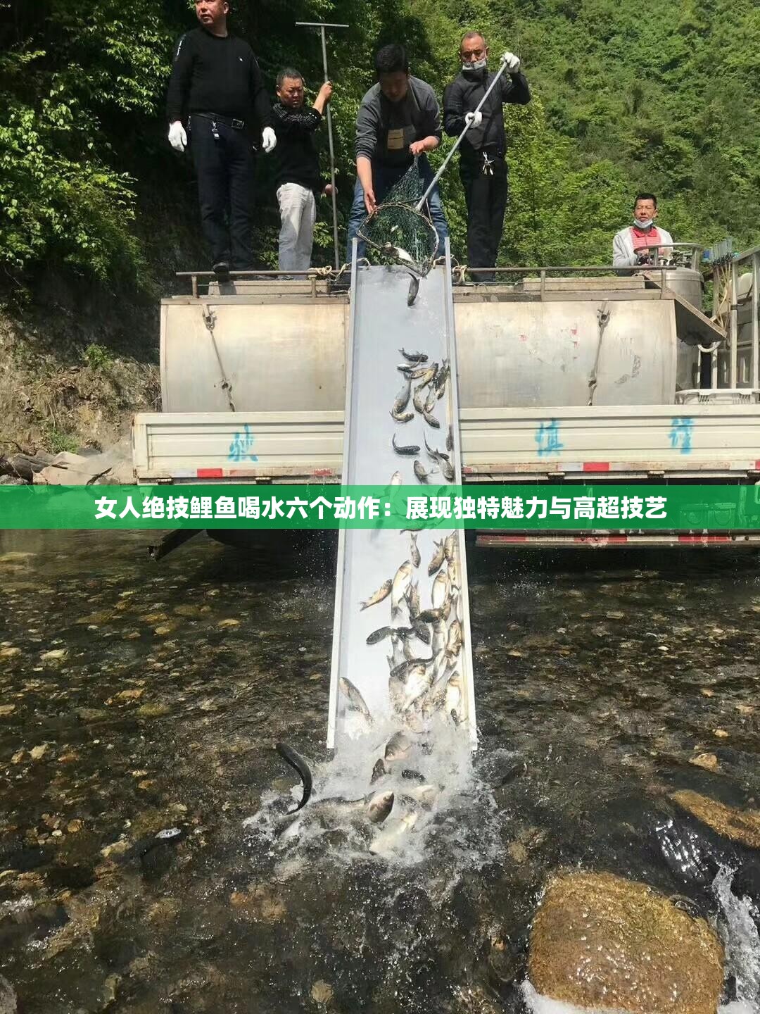 女人絕技鯉魚喝水六個動作：展現(xiàn)獨特魅力與高超技藝