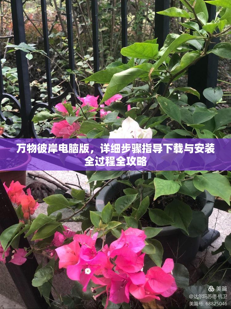 萬(wàn)物彼岸電腦版，詳細(xì)步驟指導(dǎo)下載與安裝全過(guò)程全攻略