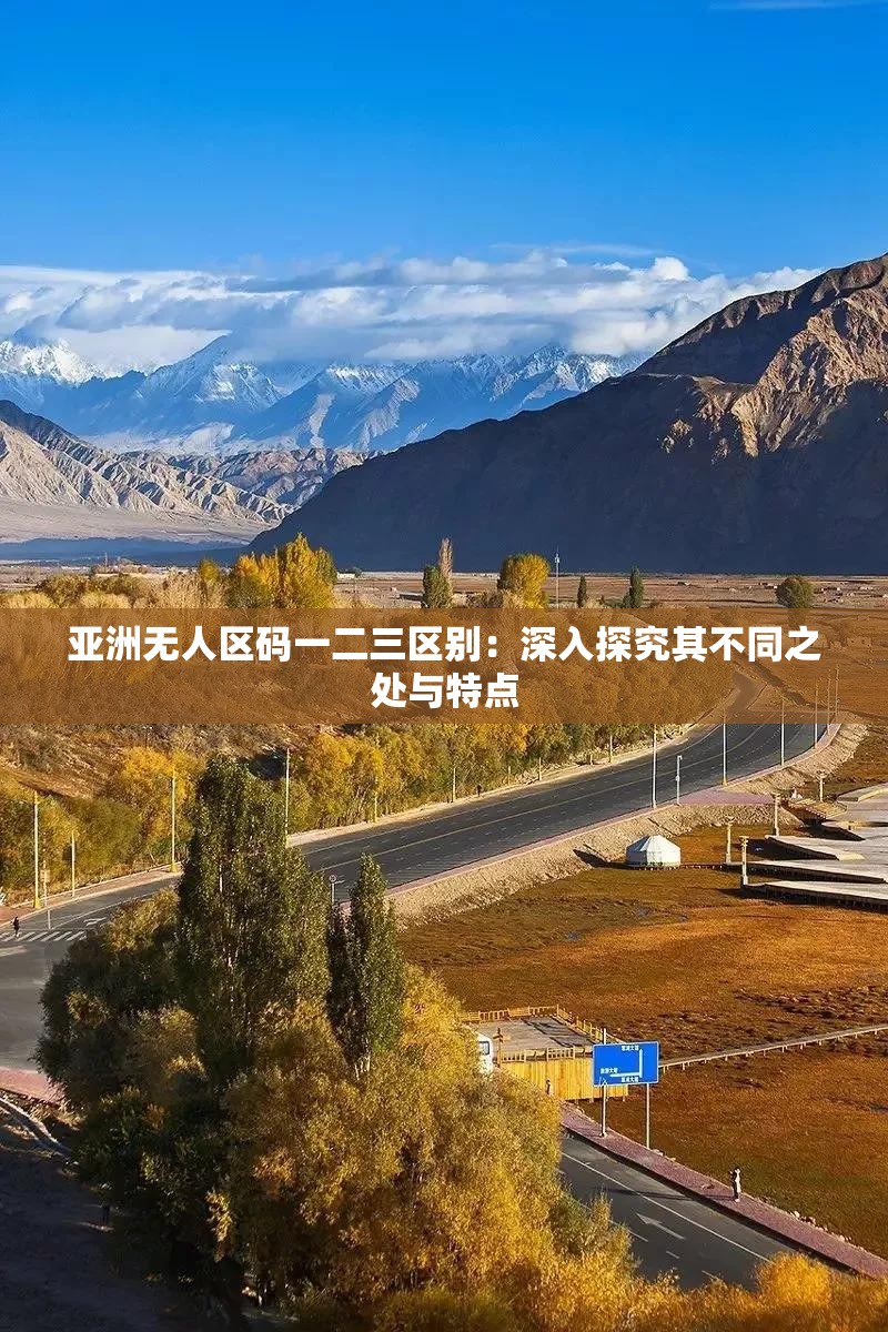 亞洲無人區(qū)碼一二三區(qū)別：深入探究其不同之處與特點