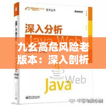 九幺高危風(fēng)險(xiǎn)老版本：深入剖析其潛在危害與應(yīng)對(duì)策略