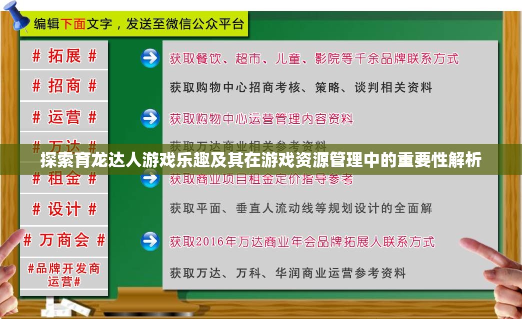 探索育龍達(dá)人游戲樂趣及其在游戲資源管理中的重要性解析