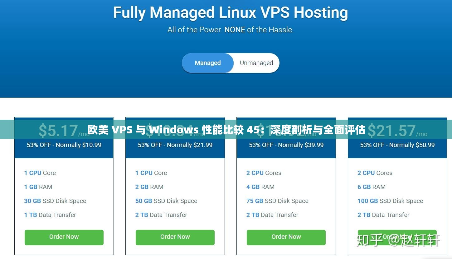 歐美 VPS 與 Windows 性能比較 45：深度剖析與全面評估