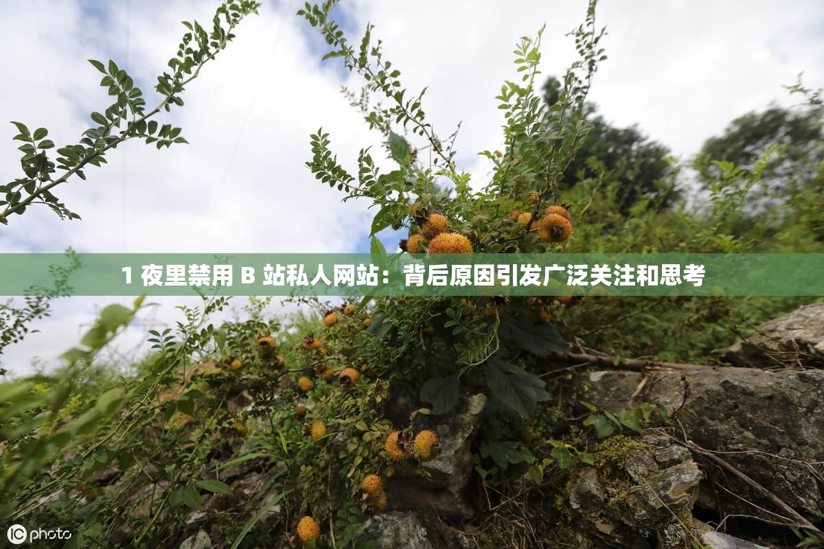 1 夜里禁用 B 站私人網(wǎng)站：背后原因引發(fā)廣泛關(guān)注和思考