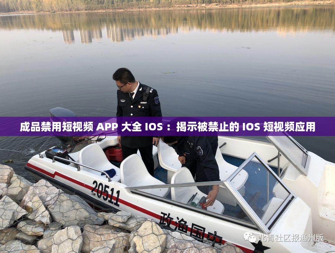 成品禁用短視頻 APP 大全 IOS ：揭示被禁止的 IOS 短視頻應(yīng)用