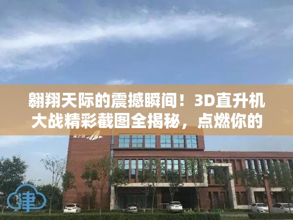 翱翔天際的震撼瞬間！3D直升機大戰(zhàn)精彩截圖全揭秘，點燃你的戰(zhàn)斗激情與熱血