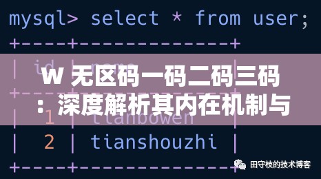 W 無區(qū)碼一碼二碼三碼：深度解析其內在機制與應用場景