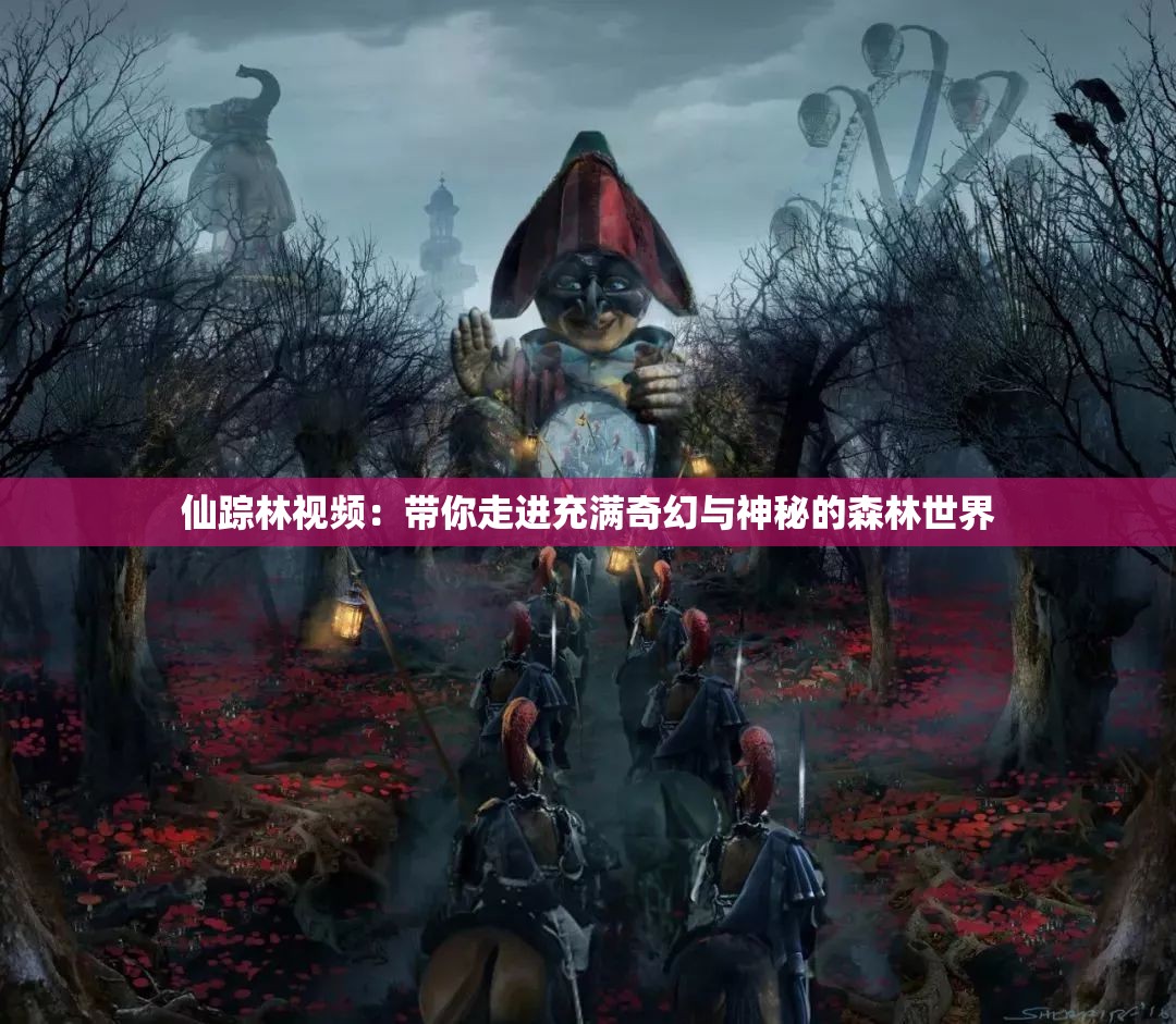 仙蹤林視頻：帶你走進(jìn)充滿奇幻與神秘的森林世界