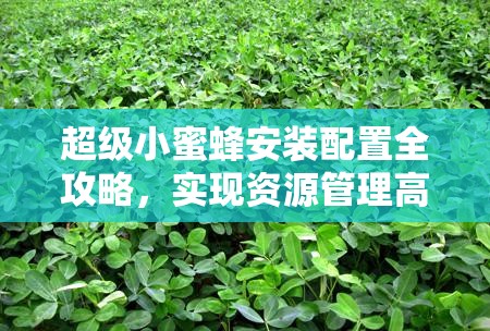 超級(jí)小蜜蜂安裝配置全攻略，實(shí)現(xiàn)資源管理高效利用，有效避免資源浪費(fèi)