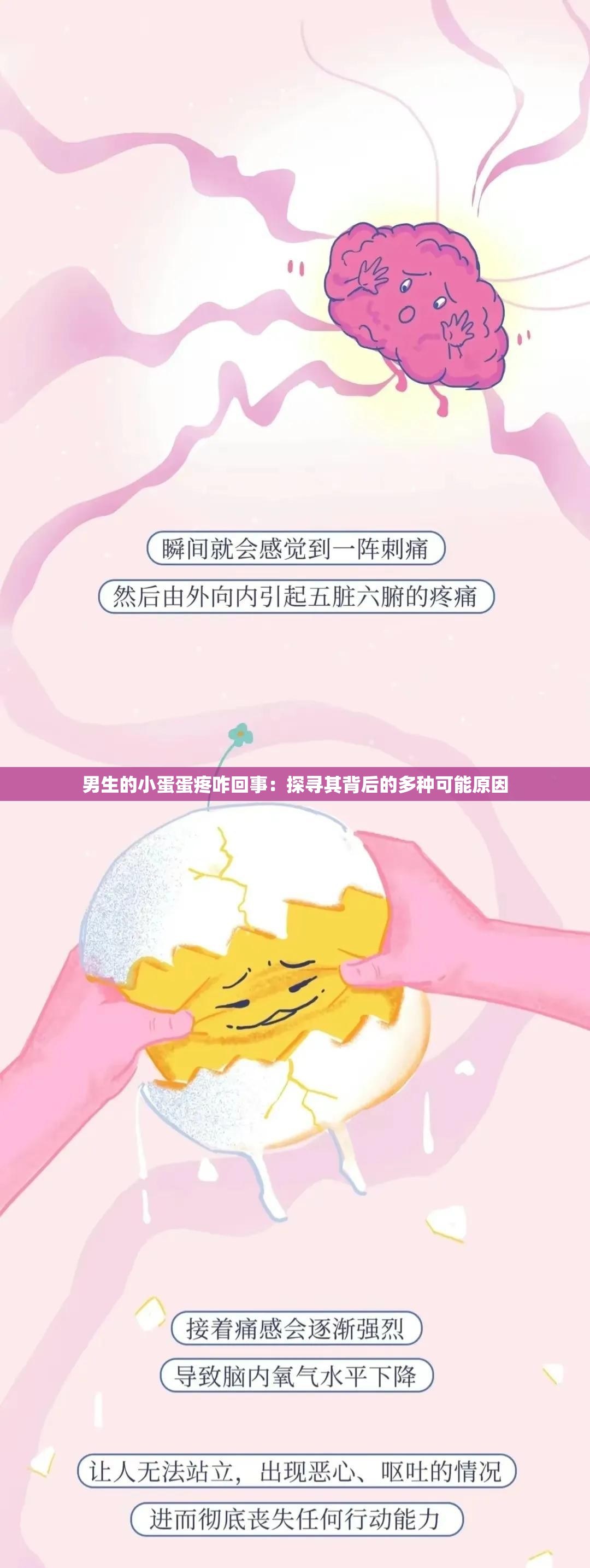 男生的小蛋蛋疼咋回事：探尋其背后的多種可能原因