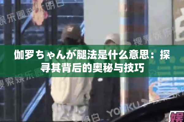 伽羅ちゃんが腿法是什么意思：探尋其背后的奧秘與技巧