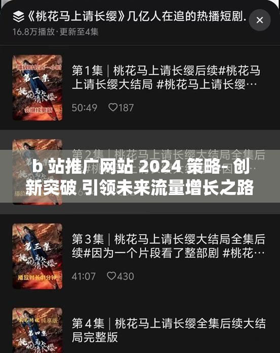 b 站推廣網站 2024 策略- 創(chuàng)新突破 引領未來流量增長之路