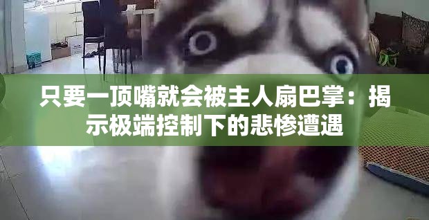 只要一頂嘴就會(huì)被主人扇巴掌：揭示極端控制下的悲慘遭遇