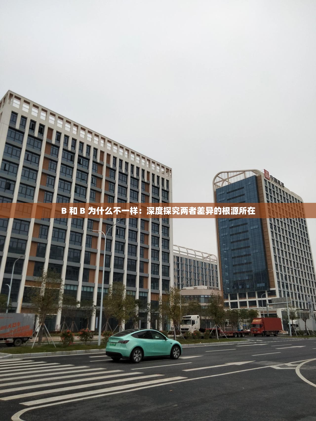 B 和 B 為什么不一樣：深度探究兩者差異的根源所在