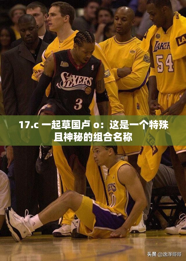 17.c 一起草國盧 o：這是一個特殊且神秘的組合名稱