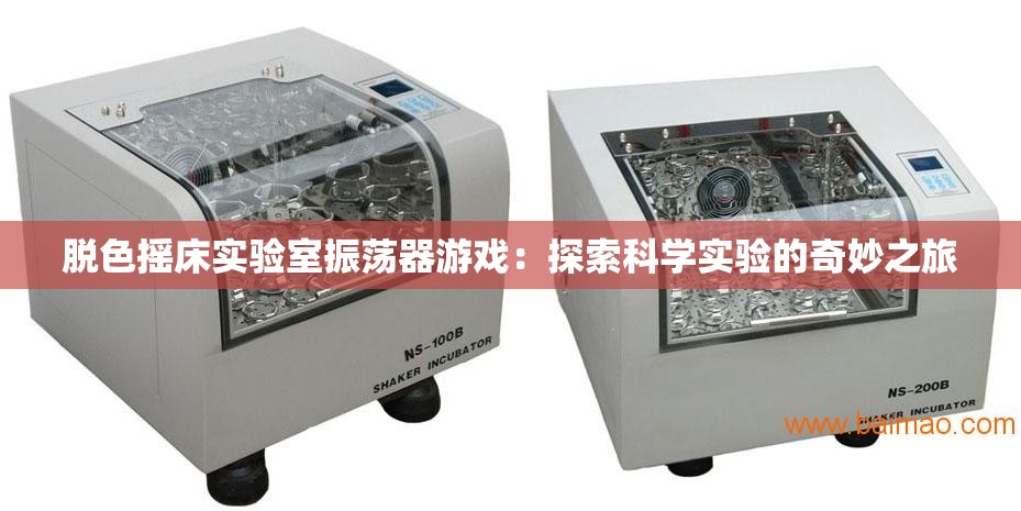 脫色搖床實驗室振蕩器游戲：探索科學實驗的奇妙之旅