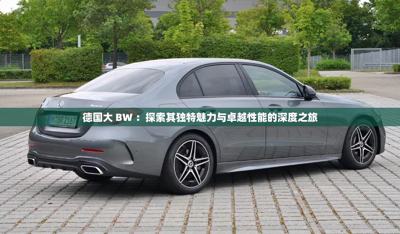 德國(guó)大 BW ：探索其獨(dú)特魅力與卓越性能的深度之旅