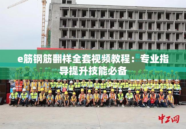 e筋鋼筋翻樣全套視頻教程：專業(yè)指導提升技能必備