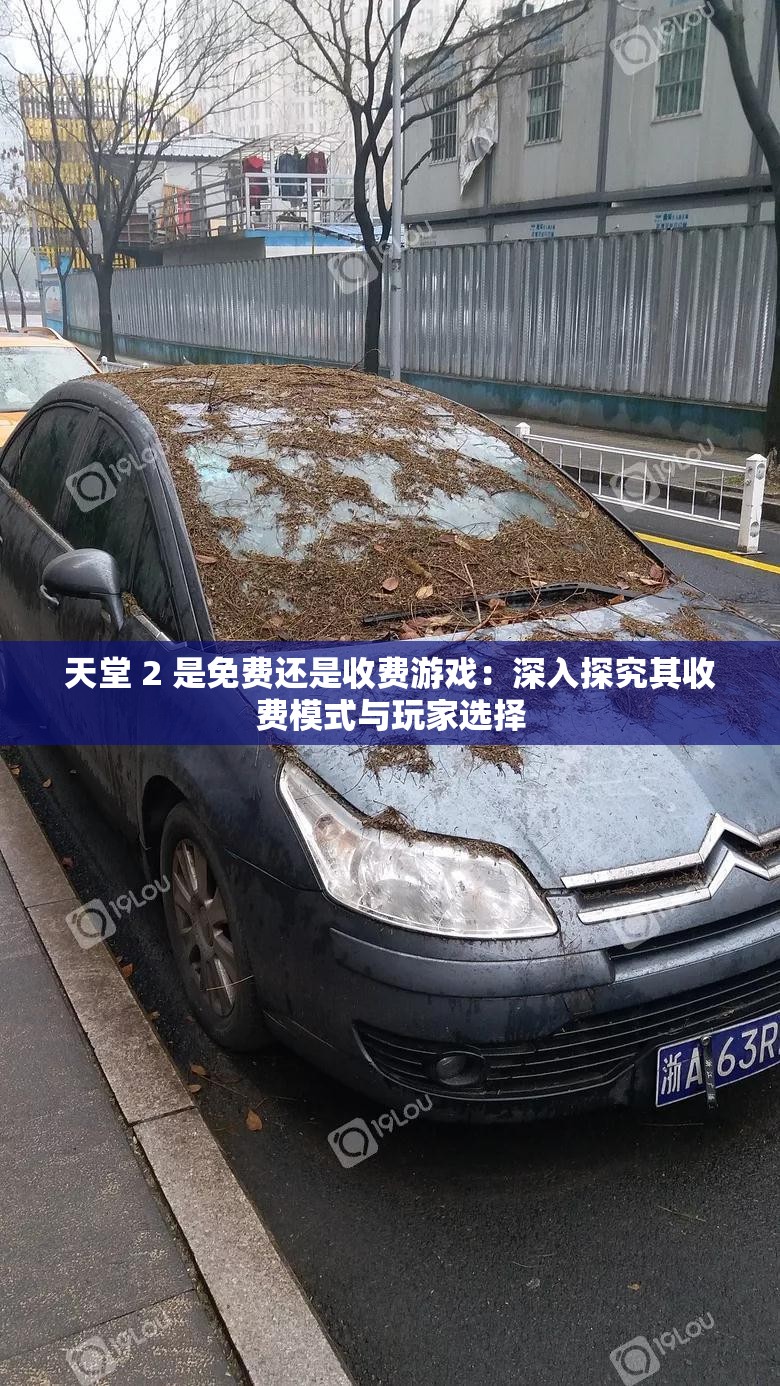 天堂 2 是免費(fèi)還是收費(fèi)游戲：深入探究其收費(fèi)模式與玩家選擇
