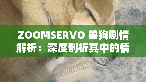 ZOOMSERVO 獸狗劇情解析：深度剖析其中的情感與沖突