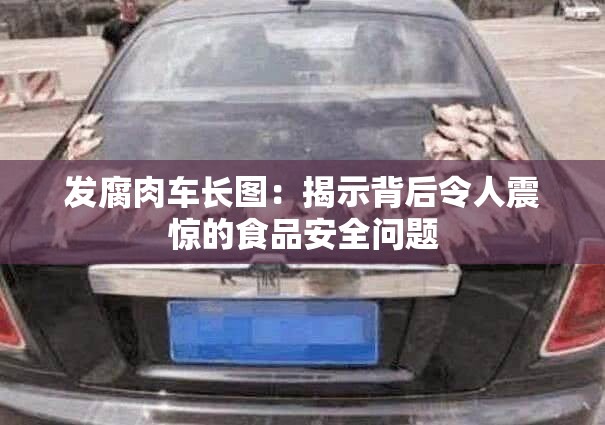 發(fā)腐肉車長(zhǎng)圖：揭示背后令人震驚的食品安全問題