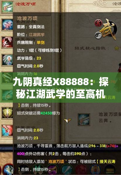 九陰真經(jīng)X88888：探秘江湖武學(xué)的至高機(jī)密與神秘力量