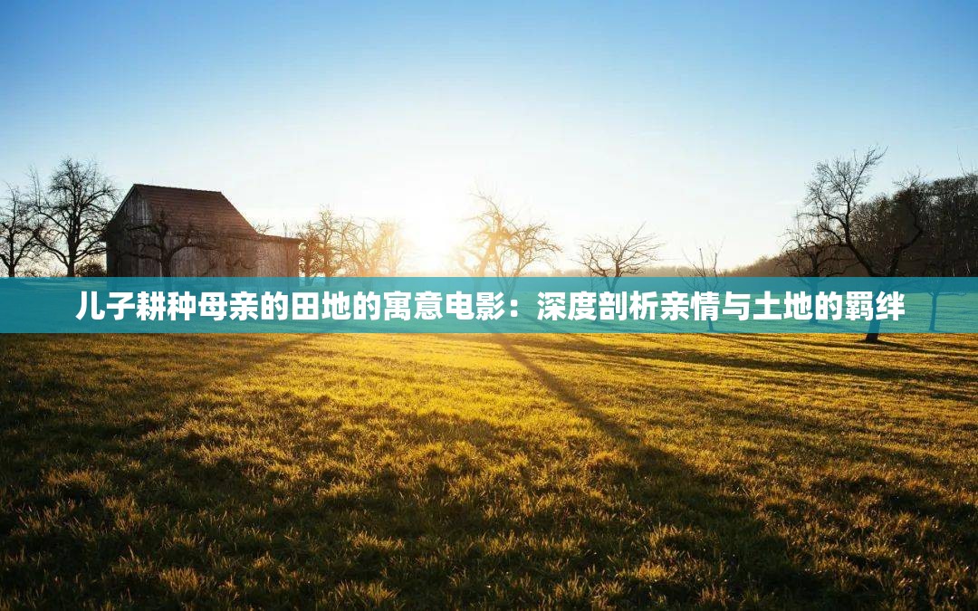 兒子耕種母親的田地的寓意電影：深度剖析親情與土地的羈絆