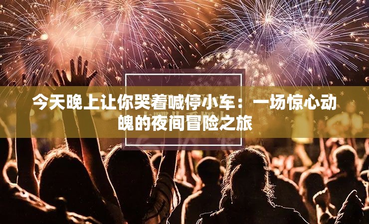 今天晚上讓你哭著喊停小車(chē)：一場(chǎng)驚心動(dòng)魄的夜間冒險(xiǎn)之旅