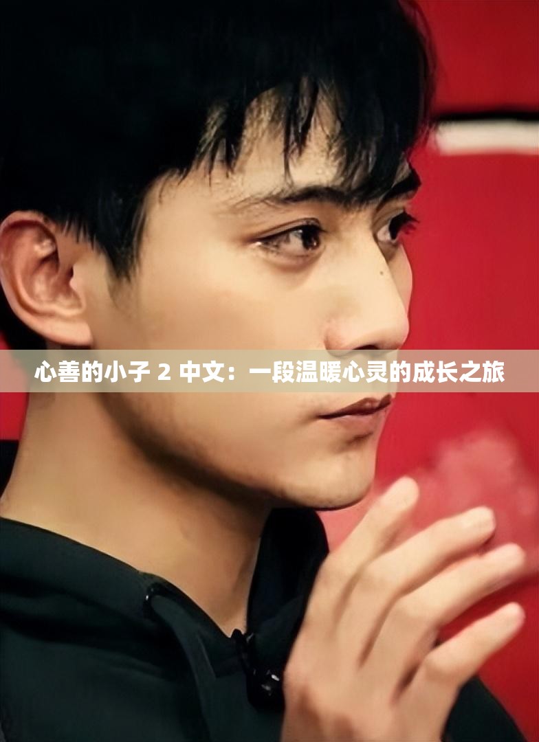 心善的小子 2 中文：一段溫暖心靈的成長之旅