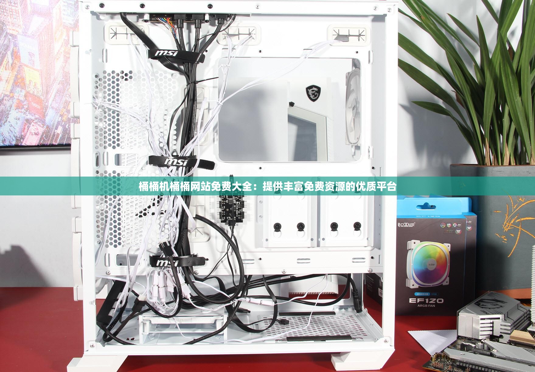 桶桶機(jī)桶桶網(wǎng)站免費(fèi)大全：提供豐富免費(fèi)資源的優(yōu)質(zhì)平臺(tái)