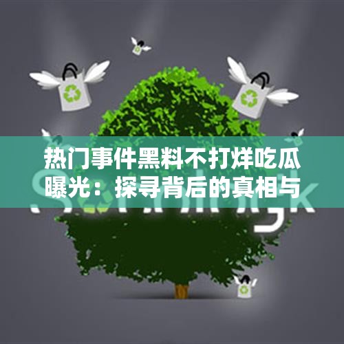 熱門事件黑料不打烊吃瓜曝光：探尋背后的真相與影響