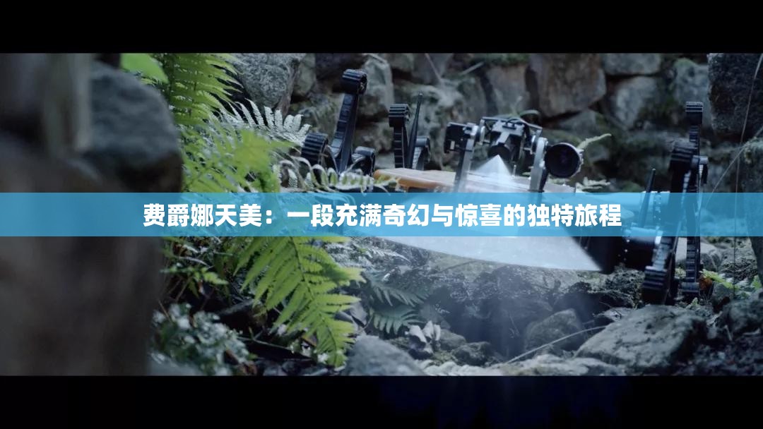 費(fèi)爵娜天美：一段充滿奇幻與驚喜的獨(dú)特旅程