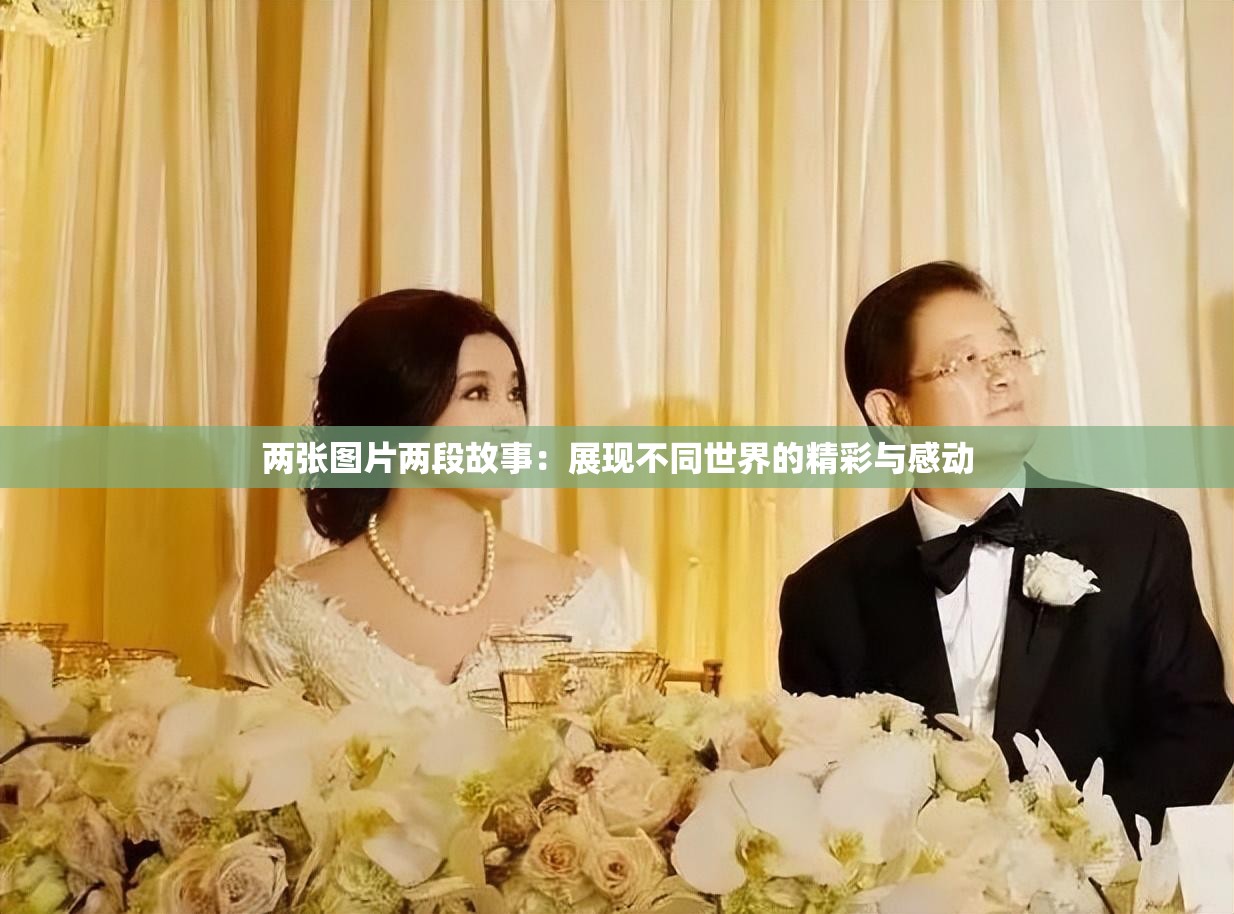 兩張圖片兩段故事：展現(xiàn)不同世界的精彩與感動