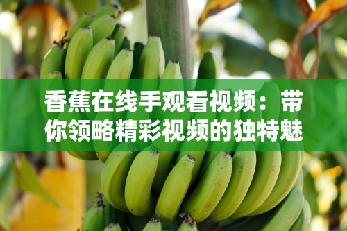 香蕉在線手觀看視頻：帶你領(lǐng)略精彩視頻的獨(dú)特魅力